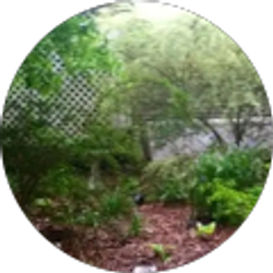 Profile photo of Jen Culp