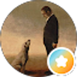 Profile photo of Mr Photos