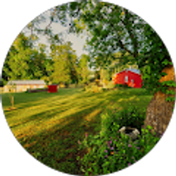 Profile photo of Blonde Curls