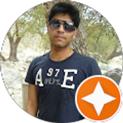 Profile photo of Rahul Ravella