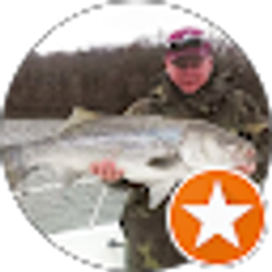 Profile photo of Jim Reese