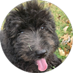 Profile photo of Donald Wohldmann