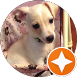 Profile photo of Lovelyn Kobayashi