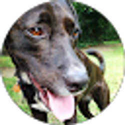 Profile photo of S McCullough