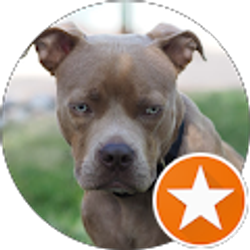 Profile photo of Gk Fen