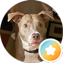 Profile photo of haywood357