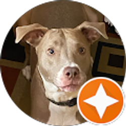 Profile photo of haywood357