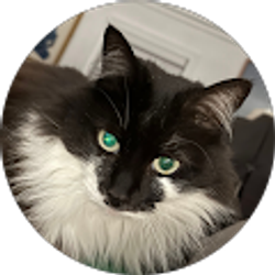 Profile photo of Robert Amick