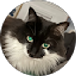 Profile photo of Robert Amick