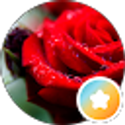 Profile photo of N R