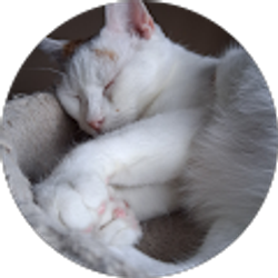 Profile photo of Mark Suttle