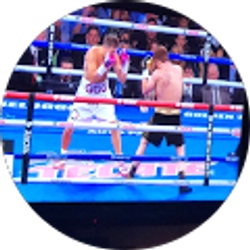 Profile photo of A P