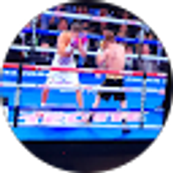 Profile photo of A P