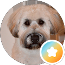 Profile photo of Ralph Q