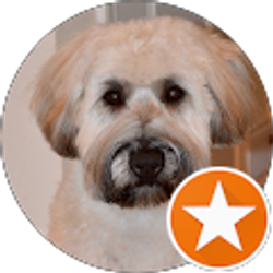 Profile photo of Ralph Q