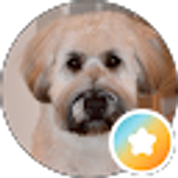 Profile photo of Ralph Q