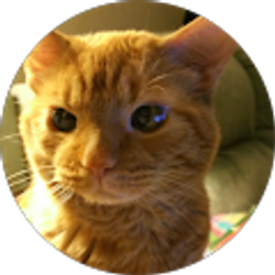 Profile photo of thomas wyatt