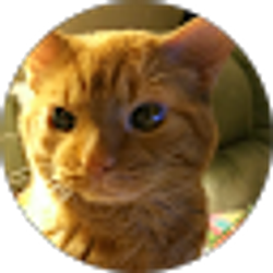 Profile photo of thomas wyatt
