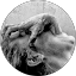 Profile photo of jeff couch