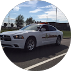 Profile photo of Tim Speedy