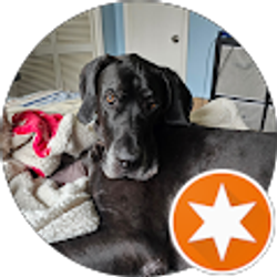 Profile photo of Karie Holt