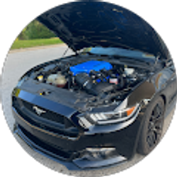 Profile photo of DavidH48 (Daveh48)