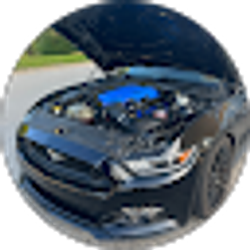 Profile photo of DavidH48 (Daveh48)