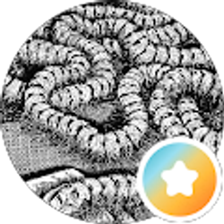 Profile photo of Loren Pepple
