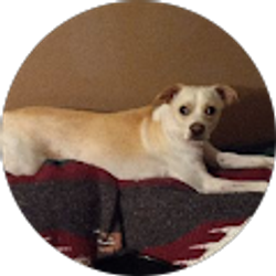 Profile photo of Maria Torres