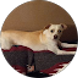 Profile photo of Maria Torres