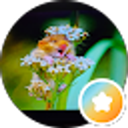 Profile photo of PD