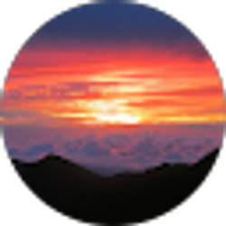 Profile photo of Cameron Mitchell