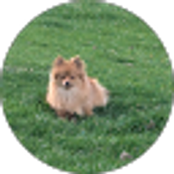 Profile photo of Gloria Kramer