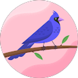 Profile photo of Dawn Jones