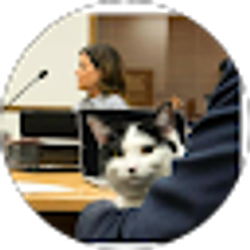 Profile photo of jason wallin