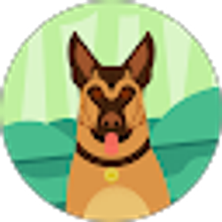 Profile photo of Cathy Osmer