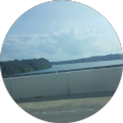 Profile photo of Annette Ball