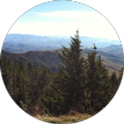 Profile photo of Laurie Reynolds