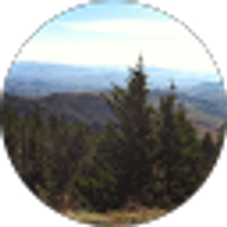 Profile photo of Laurie Reynolds