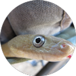 Profile photo of Rich Anderson