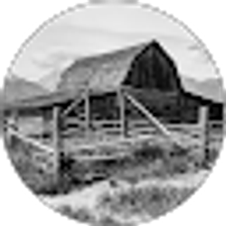 Profile photo of Brett Avery