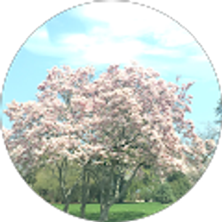 Profile photo of Kmac