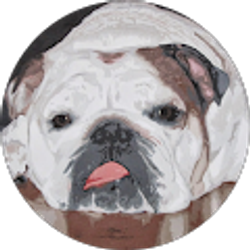 Profile photo of Dustin Rosenfeld