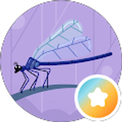 Profile photo of Apostate Dragonfly
