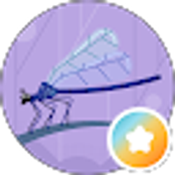 Profile photo of Apostate Dragonfly