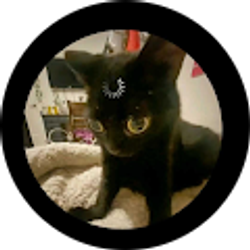 Profile photo of Miguel Buendia