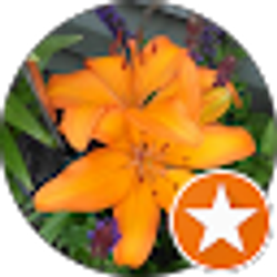 Profile photo of Donna Curtiss