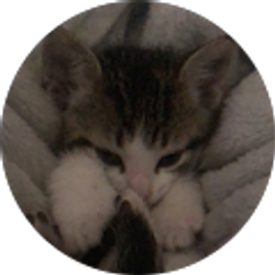 Profile photo of Rylee Hughes