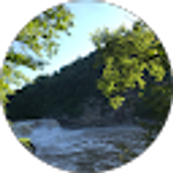 Profile photo of Tesla Holloway