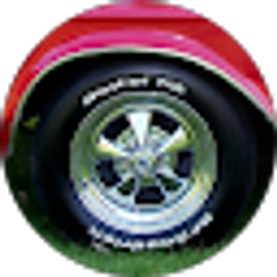 Profile photo of Tim theToolman